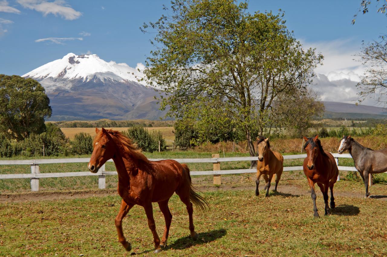 Hacienda San Agustin De Callo Ласо Экстерьер фото